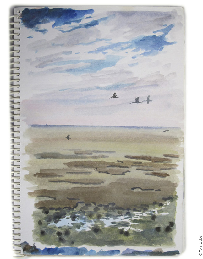 Doñana, Andalucía, Espanya, 1997 Doñana, Andalucía, Espanya, 1997