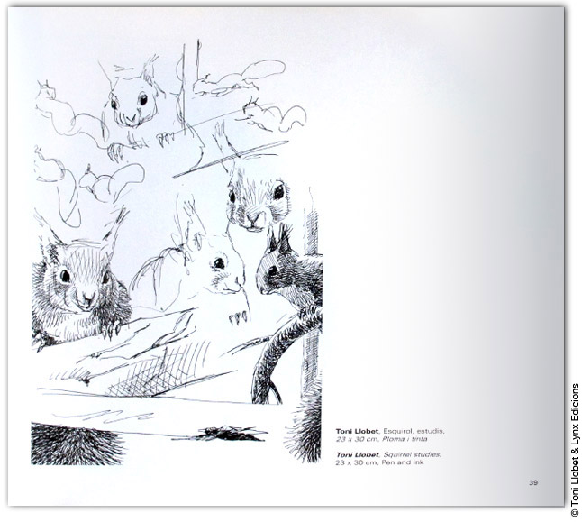 Boscos vells - Artists for Nature al Pirineu