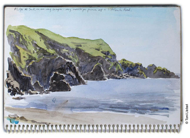 tonillobet_wildlifeart_watercolour03_sark