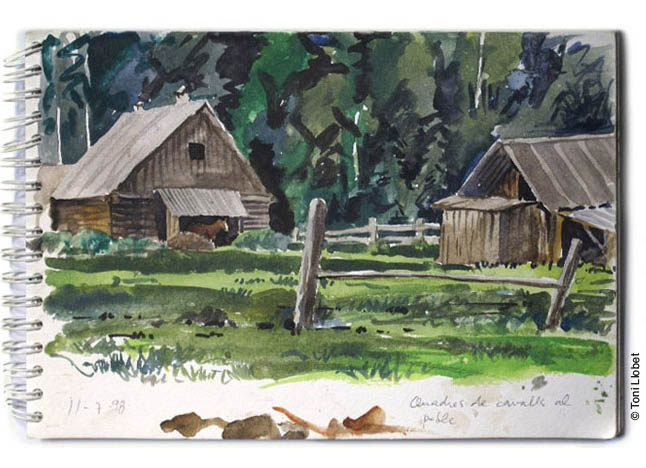 tonillobet_wildlifeart_watercolour08_rusia