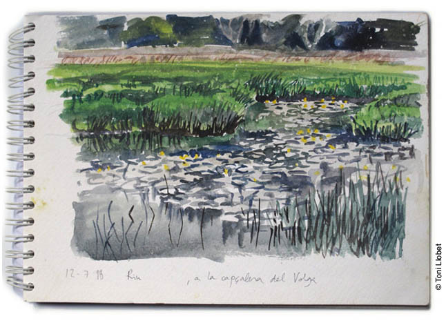 tonillobet_wildlifeart_watercolour10_rusia