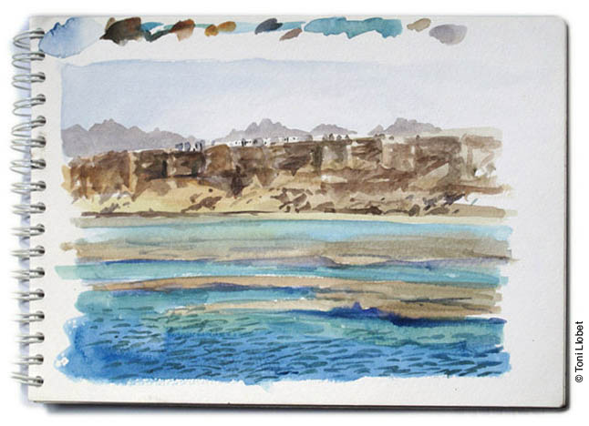 tonillobet_wildlifeart_watercolour11_sinai